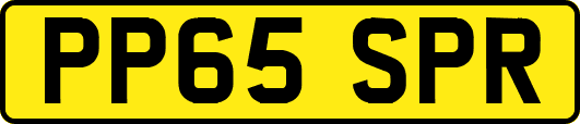 PP65SPR