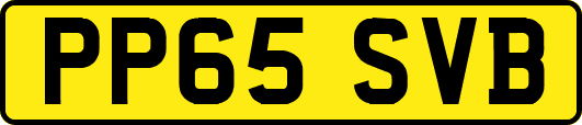 PP65SVB