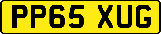 PP65XUG