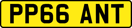 PP66ANT