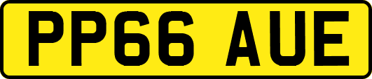 PP66AUE