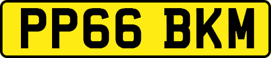 PP66BKM