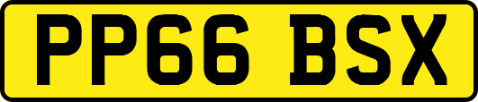 PP66BSX