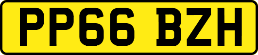 PP66BZH