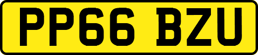 PP66BZU