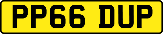 PP66DUP
