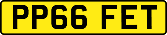 PP66FET