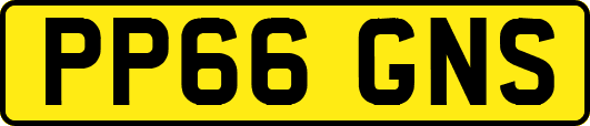 PP66GNS