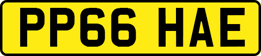 PP66HAE