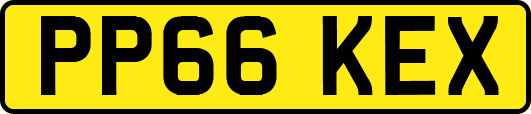PP66KEX