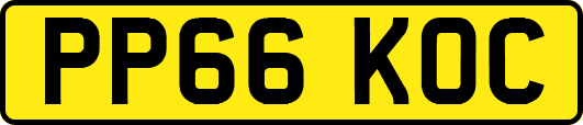 PP66KOC