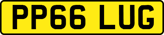 PP66LUG
