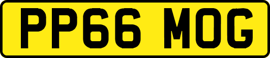 PP66MOG