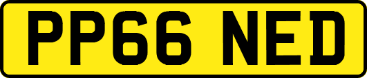 PP66NED