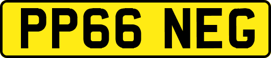 PP66NEG