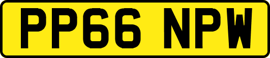 PP66NPW