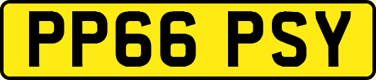 PP66PSY