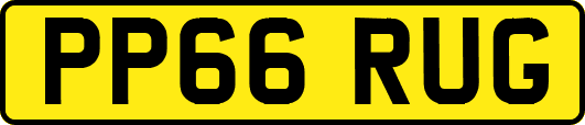 PP66RUG