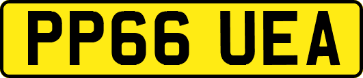 PP66UEA