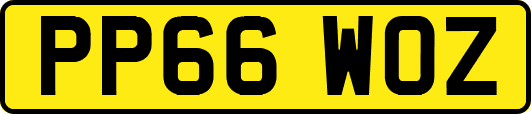 PP66WOZ