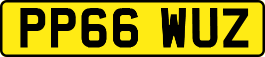 PP66WUZ