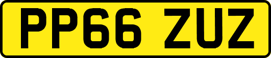 PP66ZUZ