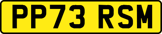 PP73RSM