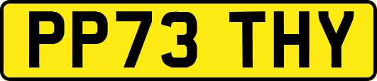 PP73THY