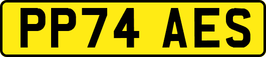 PP74AES