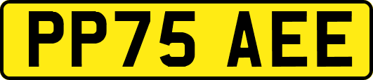 PP75AEE