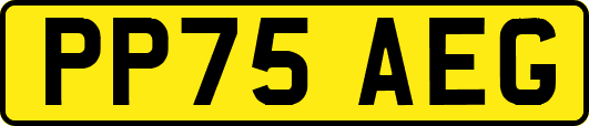 PP75AEG