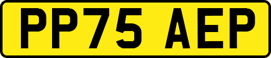 PP75AEP