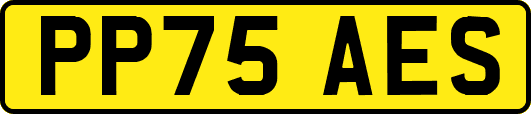 PP75AES