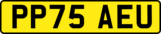 PP75AEU