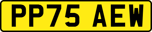 PP75AEW