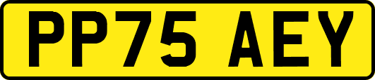 PP75AEY