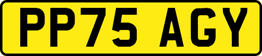 PP75AGY