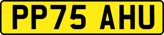 PP75AHU