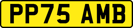PP75AMB