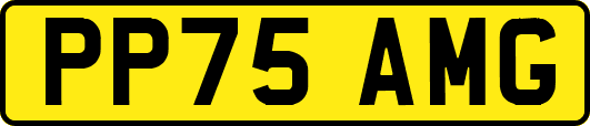 PP75AMG