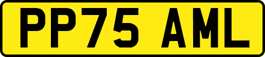 PP75AML