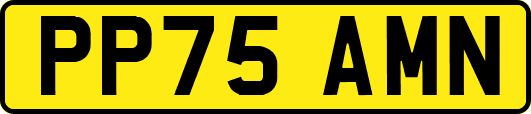 PP75AMN
