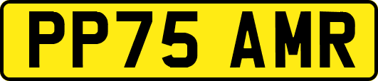PP75AMR
