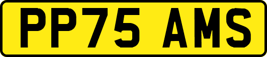 PP75AMS