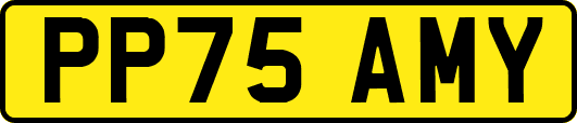 PP75AMY
