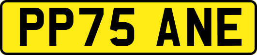 PP75ANE
