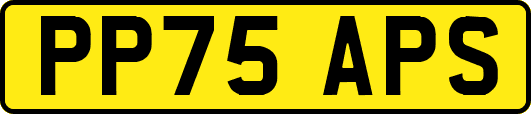 PP75APS