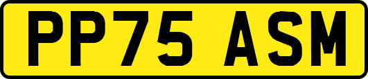PP75ASM