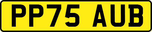 PP75AUB