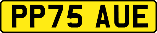 PP75AUE